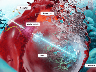Alphathérapie ciblée au Plomb-212 contre le cancer