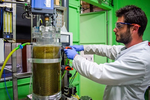 Biotechnologie : transformation de la matière par voie biologique